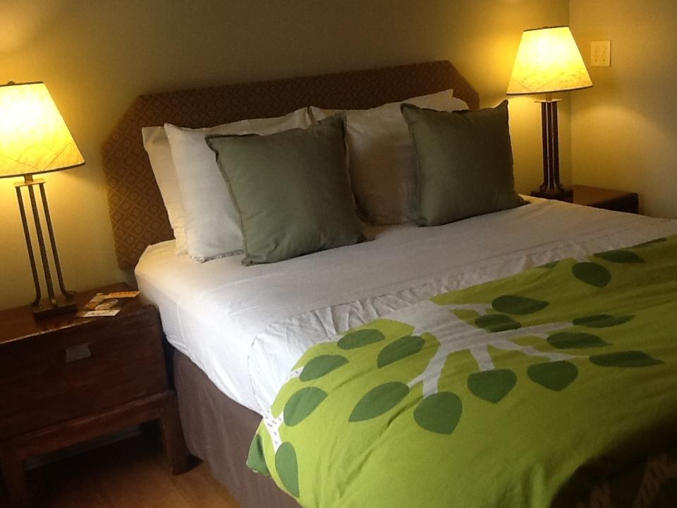 Zenyard Guest House Финикс Стая снимка